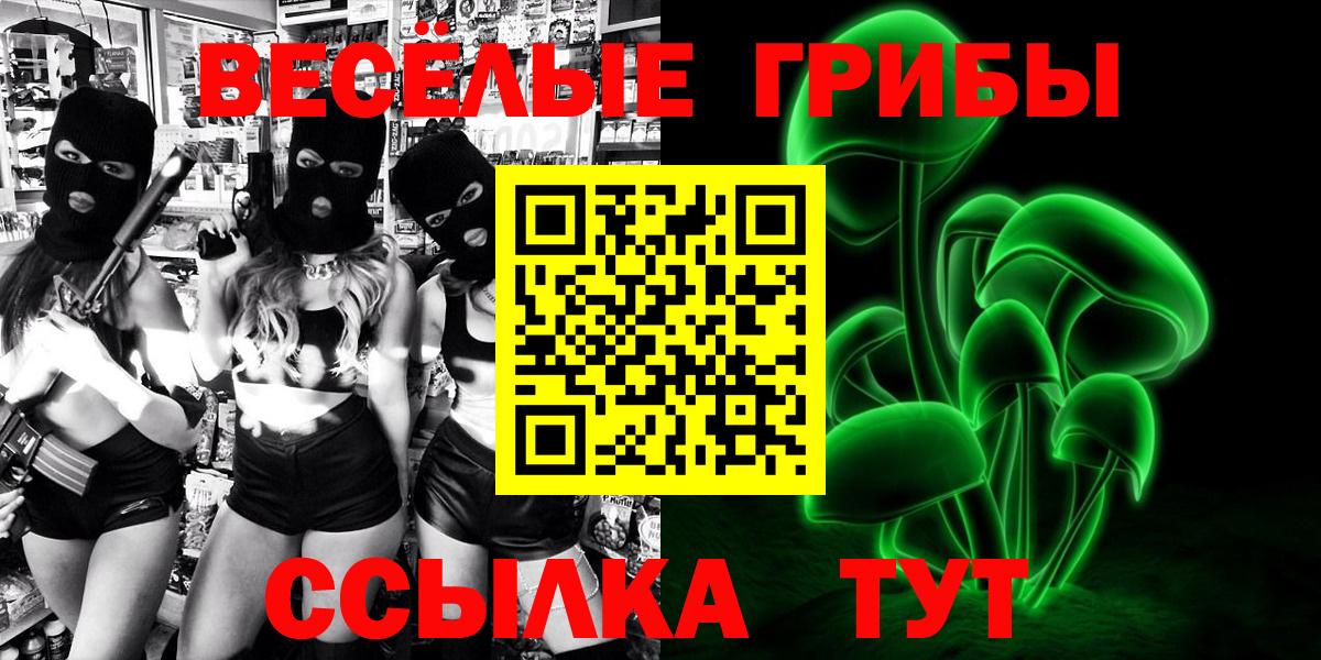 Гагарин  Псилоцибиновые грибы MAGIC MUSHROOMS  Вход с VPN 