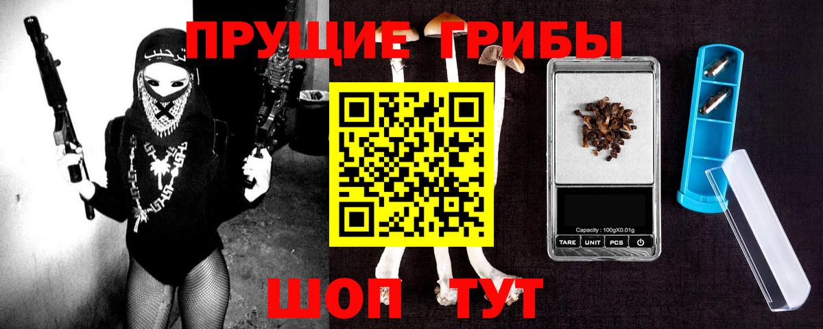 Галлюциногенные грибы Psilocybine cubensis  Галлюциногенные грибы MAGIC MUSHROOMS  Гагарин 