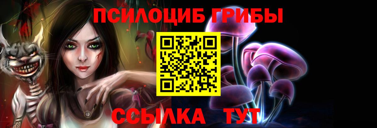 Псилоцибиновые грибы Psilocybe Гагарин