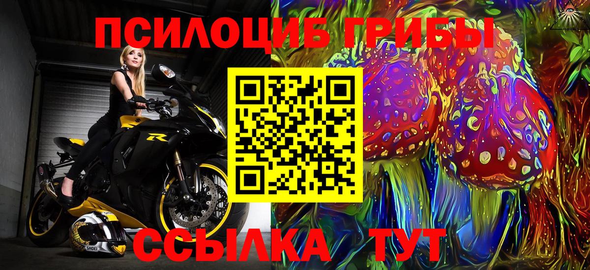 Галлюциногенные грибы Psilocybe Гагарин