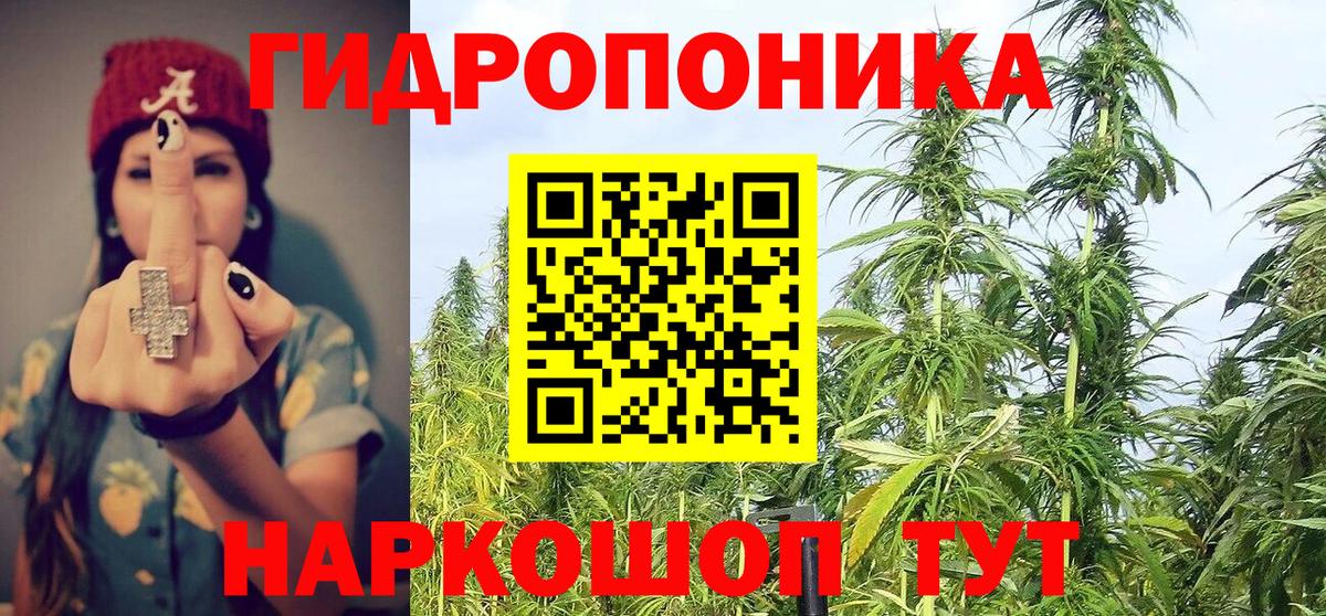 Марихуана планчик  МАРИХУАНА тримм  Гагарин  Каннабис Ganja 